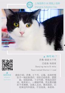 领养在线观看  第2张